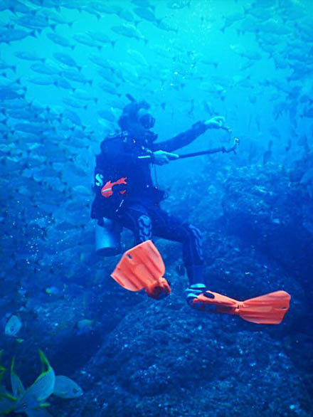 Cano Island Diving