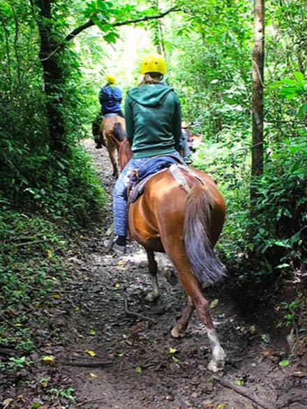 Horseback Riding